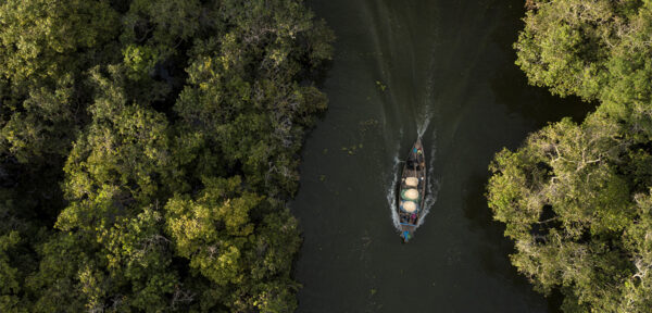 Fishing boat and Mangrove Forests at Kampong Pluk Tonle Sap Lake